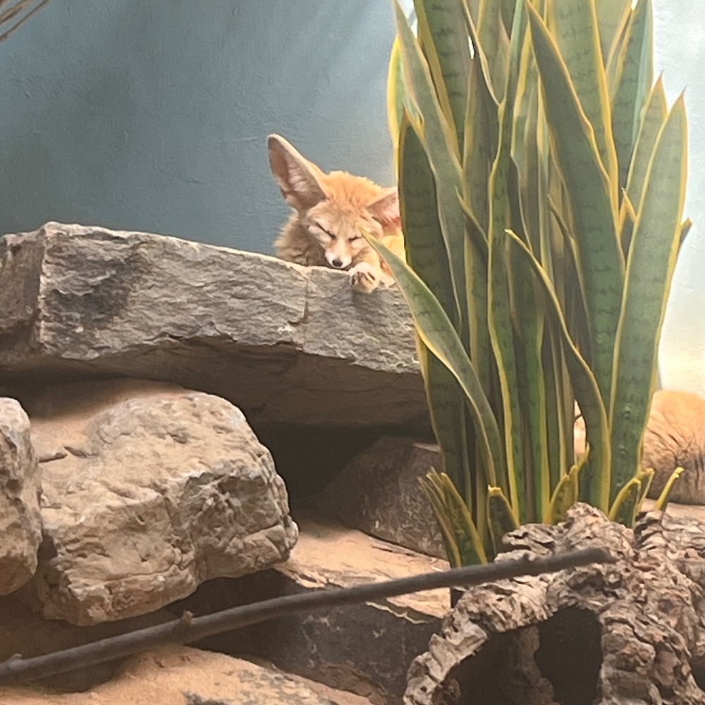 Meet your Posher, Jay